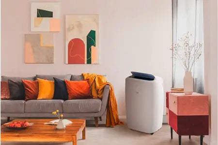 Climatiseur mobile Beko BP112H